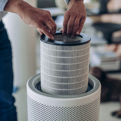 LIFA air LA503V Air Purifier